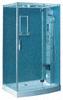 ZF 1209 III (A)