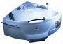 PAS 1313 I